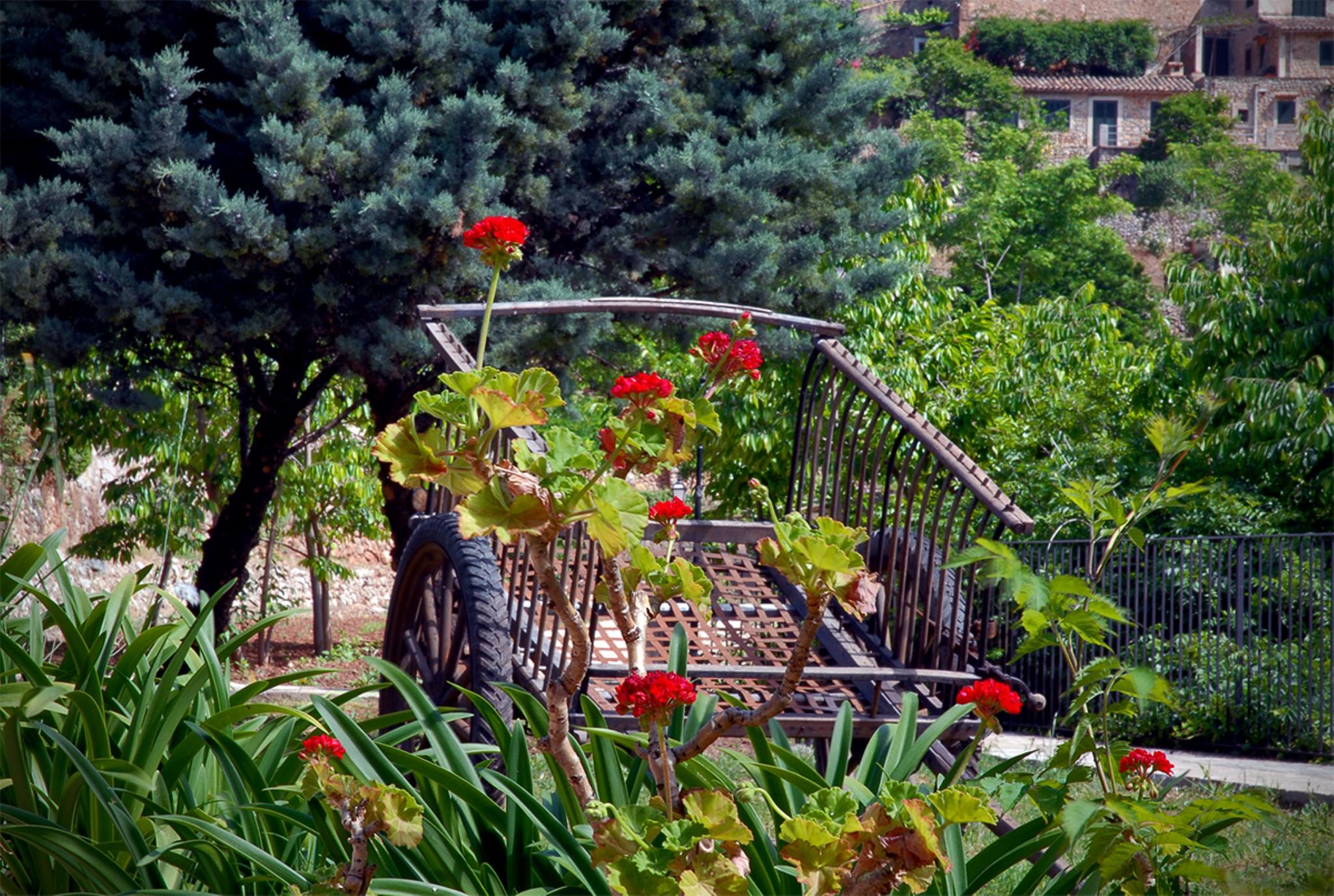 Sa Vall Valldemossa Exterior foto